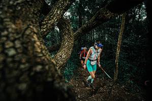 BIB: 
                            <button type="button" onclick="openModal(25694008)" class="btn btn-primary btn-sm float-right btn-popup" data-toggle="modal" data-target=".modal-high-quality">
                        <i class="fas fa-shopping-cart"></i> Add to Cart
                    </button>
                                            <button type="button" onclick="isThisMe(25694008, true)" class="btn btn-success btn-sm float-right btn-popup btn-isme hidden" data-toggle="tooltip" data-placement="bottom" title="นี่คือรูปของคุณใช่ไหม คลิกที่นี่เพื่อเอาเข้าอัลบั้ม">
                        <i class="fas fa-plus"></i> Add to album
                    </button>
                    <button type="button" onclick="isThisMe(25694008, false)" class="btn btn-warning btn-sm float-right btn-popup btn-isnotme hidden">
                        <i class="fas fa-ban"></i> Remove from album
                    </button>